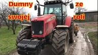 Dumny ze swojej roli - przegląd pszenicy, ubezpieczenia i Massey/ Kula