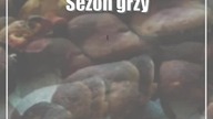 Grzybowy zawrót głowy!