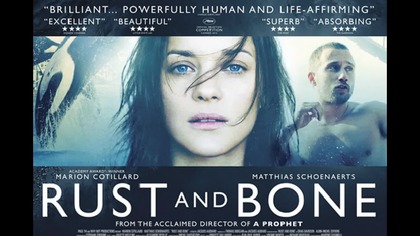 Z krwi i kości (2012) [Lektor PL] - Rust and Bone