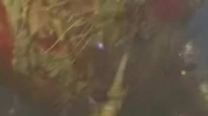 Elden Ring - Duch Owrzodzonego Drzewa