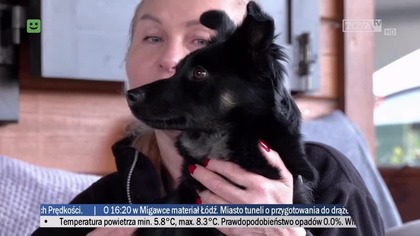 TOYA - 10-11-2025 - Ident