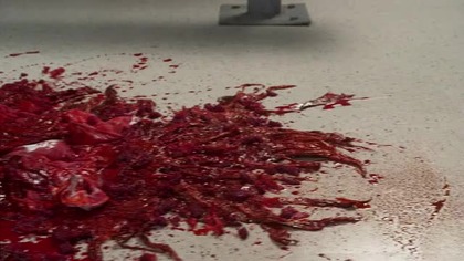 Supernatural  S06E03 Lektor PL