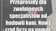 Przeprosiny dla zwolnionych specjalistów od hodowli koni.  Nowy rząd liczy na pomoc Marka Treli