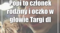 Popi to członek rodziny i oczko w głowie Targi dla Zwierzaków w CSK