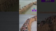 NAJNIEBEZPIECZNIEJSZY MOST NA ŚWIECIE