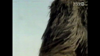 Walka O Ogień... VID-1741670783001