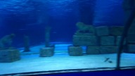 Aquarium Antalya Tunnel