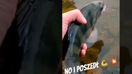 NO I POSZEDŁ 