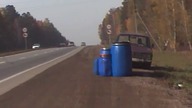 Niespodzianka na drodze