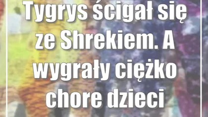 Tygrys ścigał się ze Shrekiem.  A wygrały ciężko chore dzieci