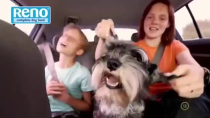 RTL Gold Hungary [03.06.2025] - Continuity 