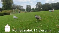 Jeszcze 3 dni i wracam do domu, do magi oraz kart  Pozdrawiam Was kochani I tęsknię 