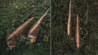 10 tajemniczych zagadek, których nauka wciąż nie potrafi wytłumaczyć