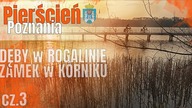  Dęby w Rogalinie, Zamek w Kórniku, Wielkopolski Park Narodowy - dzień 3/4 - na Około