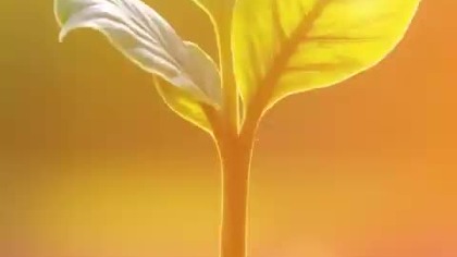 Zasiej Swoje Marzenia i Zdobądź Świat!