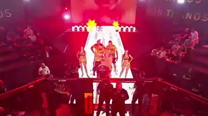 fame mma 26 (więcej darmowych gal opiśie)