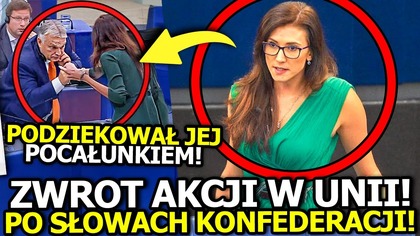 Kontakt biznesowy: wszystkojasne.kontakt@gmail.com