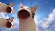 pop cat 1 Hour Version