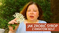 Jak zrobić syrop z kwiatów bzu? Naturalny lek na przeziębienie i wzmocnienie