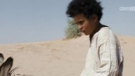 Theeb