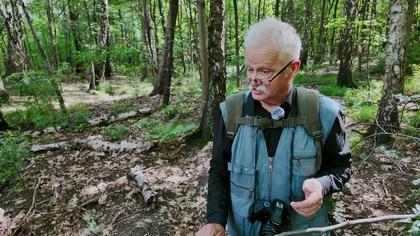 Poznać, pokochać, chronić.  Mrówcza Górka w Katowicach