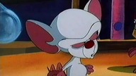 Pinky i M&oacute;zg 01 (Dubbing PL)