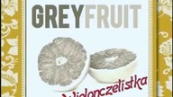 Grey Fruit - Prześliczna wiolonczelistka (Skaldowie cover)
