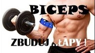NAJLEPSZE ĆWICZENIA NA BICEPS  - KOMPENDIUM WIEDZY o DWUGŁOWYCH RAMIENIA