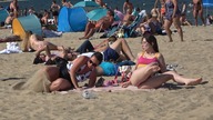 WĄŻ NA PLAŻY