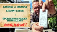 Regionalny hit i kuchenny kit - kiszony łosoś kontra podgrzewany placek ! / Oddaszfartucha