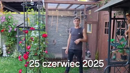 W Garden kuRaż * 25.  06.  2025 * Trochę o kanarkach.  Kury i króliki.