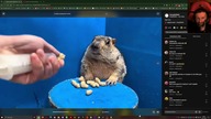 Przegląd Tik toka #2 / 18+ / reakcje