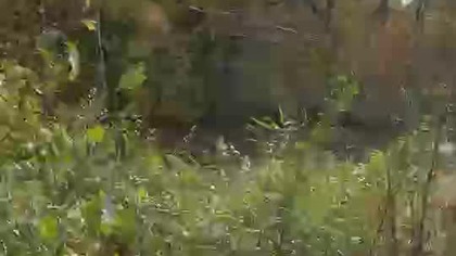 45ffd1dc-c40b-4b54-add4-570315688a62