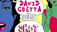 David Guetta ft  Skylar Grey - Shot Me Down