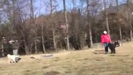 treser psow. mp4