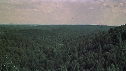 Traper.  z.  Kentucky.  1955.  Lektor.pl 1080p western