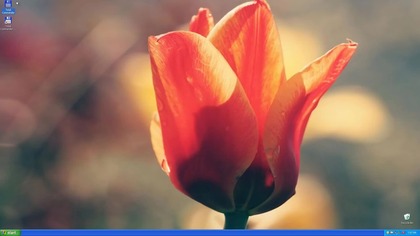 Windows 10 + Windows XP