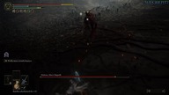 I am Malenia.  Blade of Miquella.
