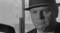 Koty. 1964. Lektor.pl