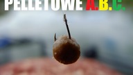 ABC - Pellet , jak łowić, rodzaje, przygotowanie oraz metody . Pelletowe TNT i 20kg ryb,  1/3