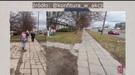 Pieszy skuty w kajdanki a obłąkana kierująca bez szwanku¿ Czy Policja wszystko tu pomyliła¿ 215