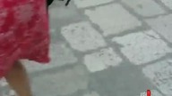 Wojowniczy kotek