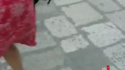 Wojowniczy kotek