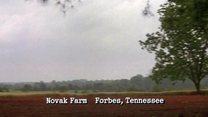 Kalifornia (1993) - Filmy i seriale online Darmowe Kino Vizjer.pl