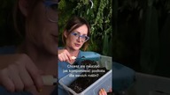Moje dwa nowe E-booki o roślinach domowych w promocyjnej cenie!:) #shorts