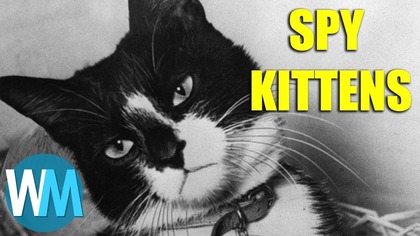 Top 10 Crazy Things They Dont Teach You in History Class