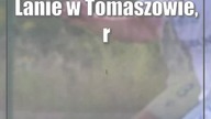 Świdnik: Ona nietrzeźwa.  On bez prawa jazdy