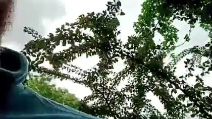 Leśny Pies Rubik oraz Sharp i Sarmata! Dyskusje na Spacerze z Psem! Po powrocie z wyjazdu! Czerwiec!