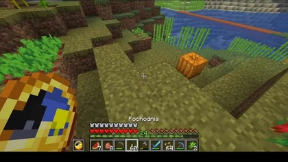 Four chicks from one egg #minecraft #gaming #Game #Egg #Short #Shorts #Bruh #chicken