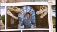 Andy i dinozaury odc.  16